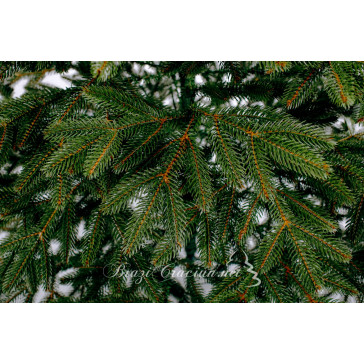 Umjetno božićno drvce Boreal Full 3D 210 cm