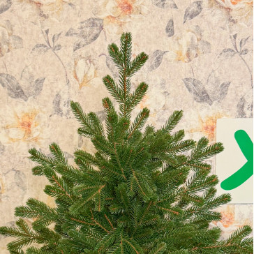 Umjetno božićno drvce Evergreen Premium Full 3D, 180 cm