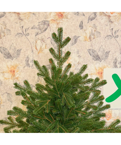 Umjetno božićno drvce Evergreen Premium Full 3D, 180 cm