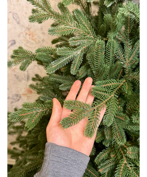 Umjetno božićno drvce Evergreen Premium Full 3D, 180 cm