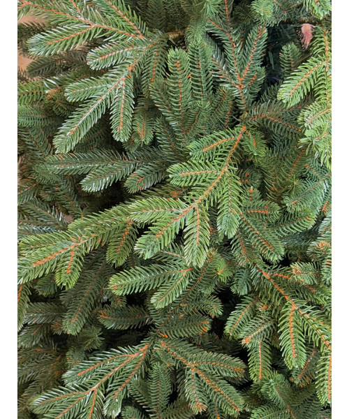 Umjetno božićno drvce Evergreen Premium Full 3D, 180 cm