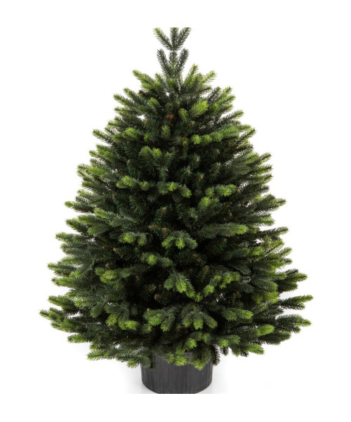 Umjetno božićno drvce Premium Gabriel 80 cm