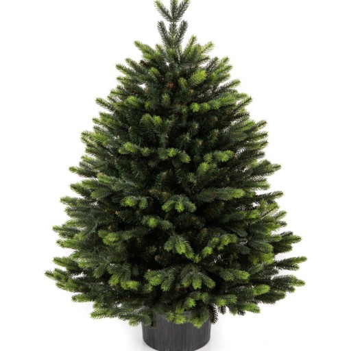 Umjetno božićno drvce Premium Gabriel 100 cm