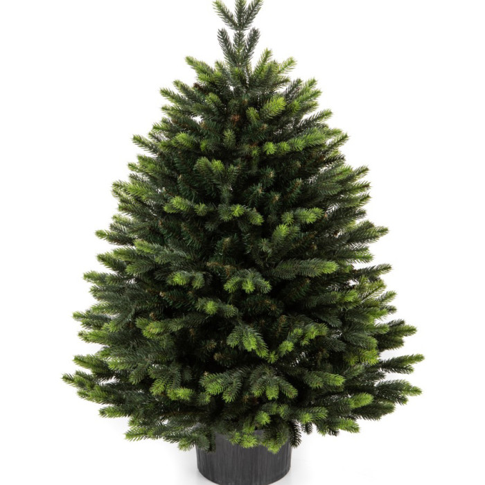 Umjetno božićno drvce Premium Gabriel 100 cm